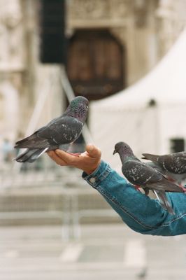 Photo from David Kitz 