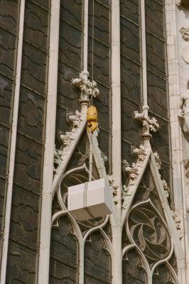 Photo from David Kitz