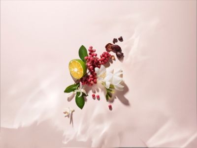 boss rose perfume
