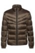 Regular-fit water-repellent down jacket with reverse logos, Dark Green