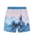 Quick-dry swim shorts with abstract photographic print, Blue