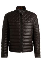 Vestes et Manteaux