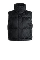 Gilets