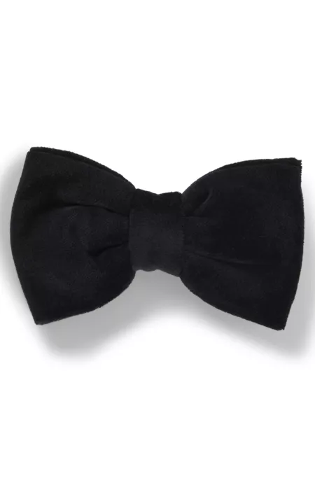 Bow tie in cotton velvet jacquard