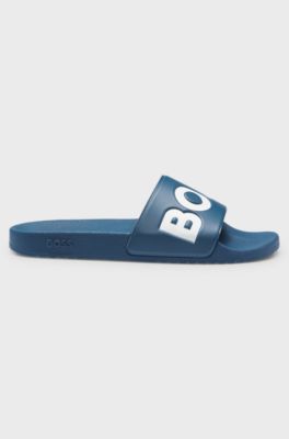 Logo slides, Dark Blue