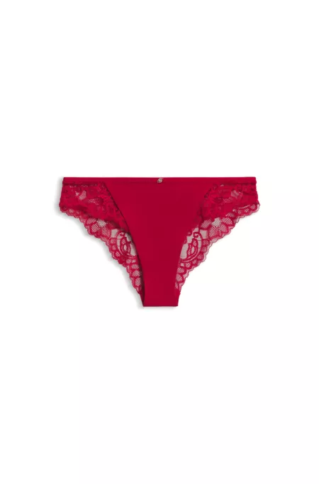 Lace briefs with mesh pleating details