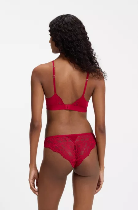 Lace briefs with mesh pleating details