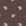 Brown Patterned