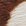Brown / Beige