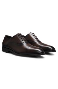 Cap-toe  shoes, Dark Brown