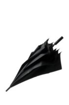 Umbrellas
