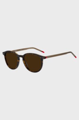 Round sunglasses in Havana acetate with red details, Assorted-Pre-Pack