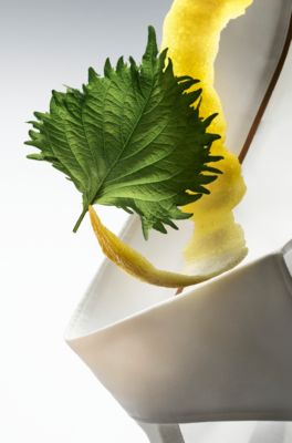 BOSS The Collection Vigorous Cologne eau de parfum 100ml, 100 ml