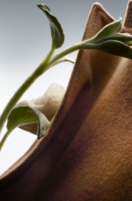 Eau de parfum BOSS The Collection Magnetic Musk 100&nbsp;ml, 100 ml