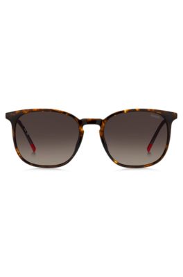 Havana sunglasses with gold-tone temples, Brown