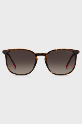 Havana sunglasses with gold-tone temples, Brown