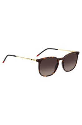 Havana sunglasses with gold-tone temples, Brown