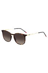 Havana sunglasses with gold-tone temples, Brown