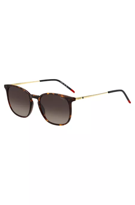 Havana sunglasses with gold-tone temples