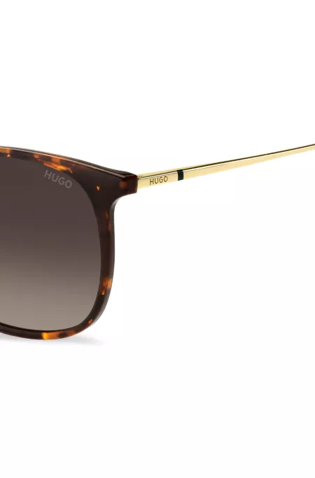 Havana sunglasses with gold-tone temples