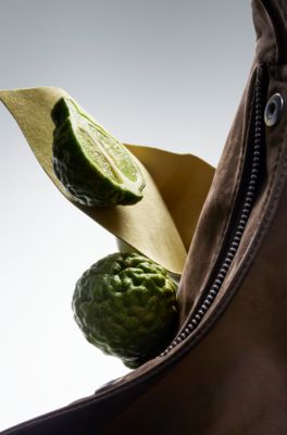 Eau de parfum BOSS The Collection Invincible Bergamot 100&nbsp;ml, 100 ml