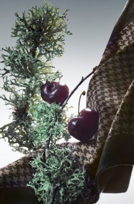 BOSS The Collection Passionate Chypre Eau de Parfum 100ml, 100 ml