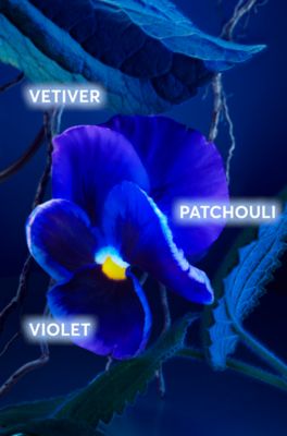 Eau de parfum BOSS Bottled Triumph Elixir, 50&nbsp;ml, 50 ml