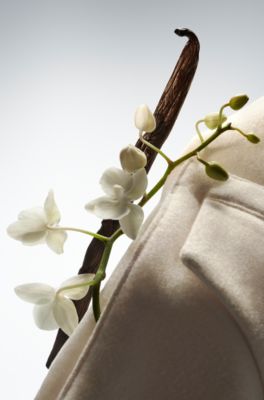 Eau de parfum BOSS The Collection Exhilarating Vanilla 100 ml, Assorted-Pre-Pack