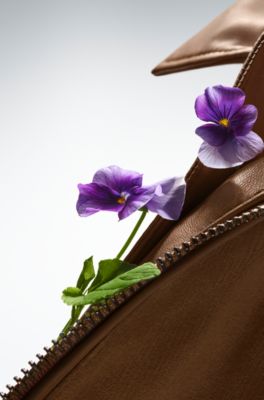 BOSS The Collection Wild Violet eau de parfum 100&nbsp;ml, Assorted-Pre-Pack