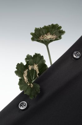 Parfum BOSS The Collection Exuberant Geranium, 100&nbsp;ml, 100 ml