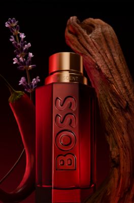 BOSS The Scent Elixir Parfum Intense 100 ml, 100 ml