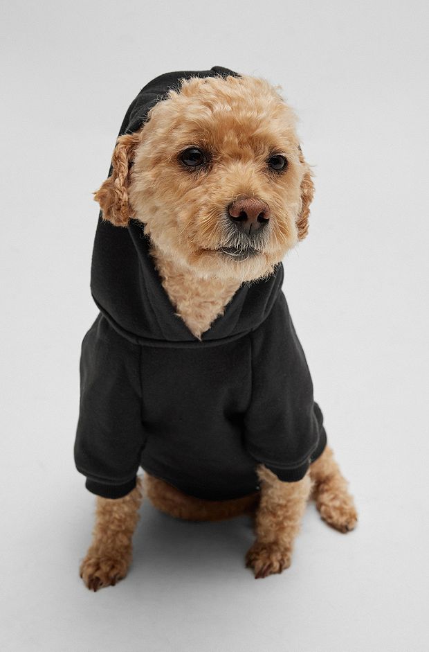 Sweat à capuche pour chien orné de l’emblématique logo à rayures, Noir