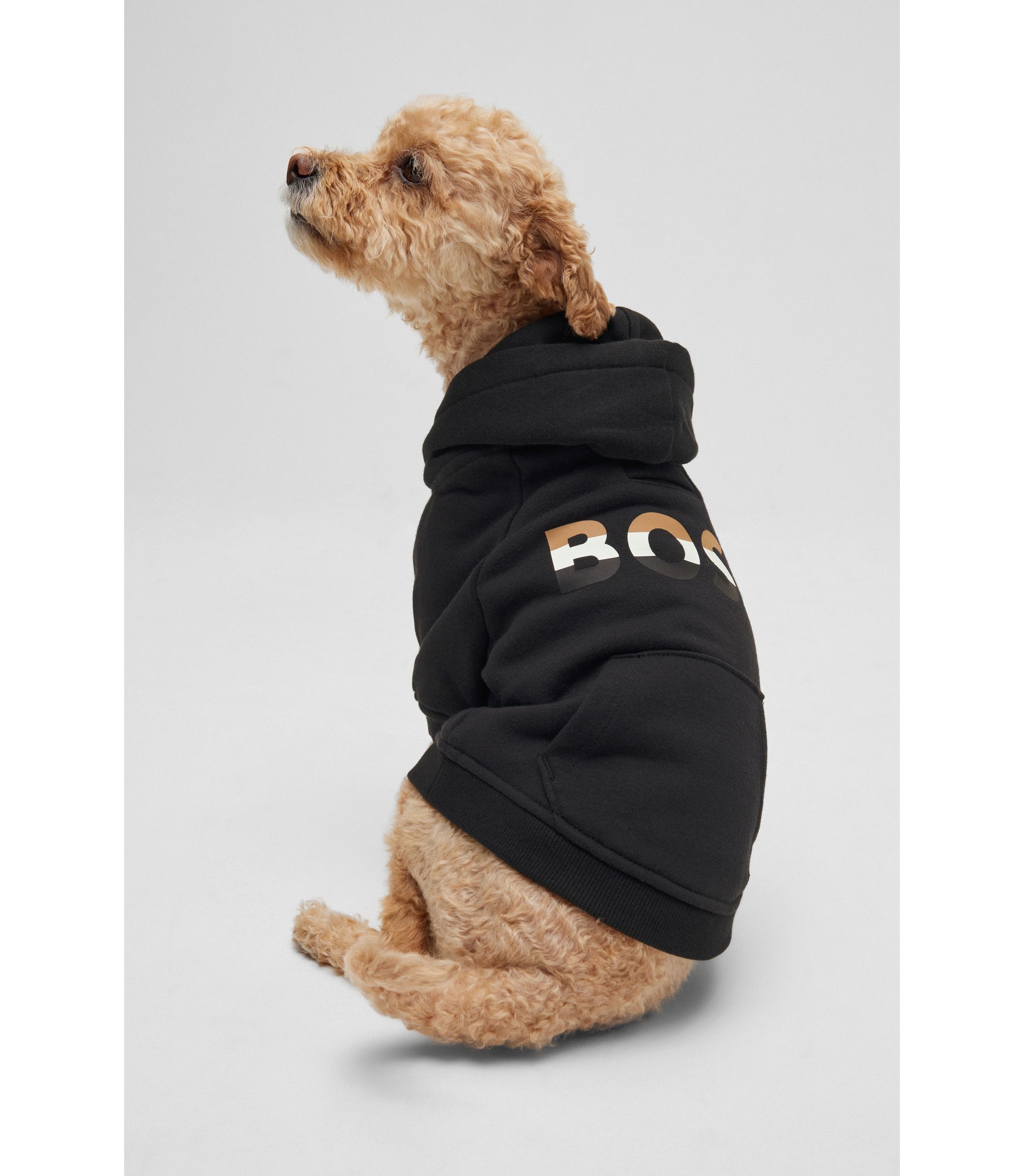 BOSS - ドッグ フーディ アイコニックストライプロゴ - ブラック