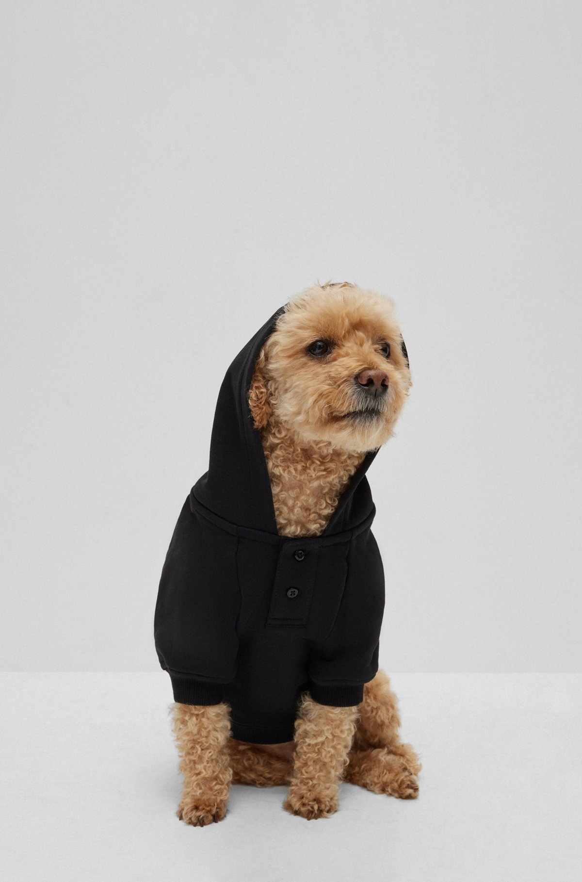 Dog hoodie in cotton with Khaby Lame-inspired artwork, Black