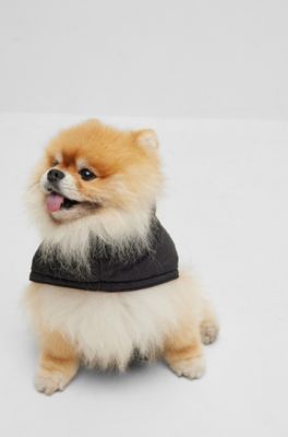 Dog padded jacket with contrast logo, Black