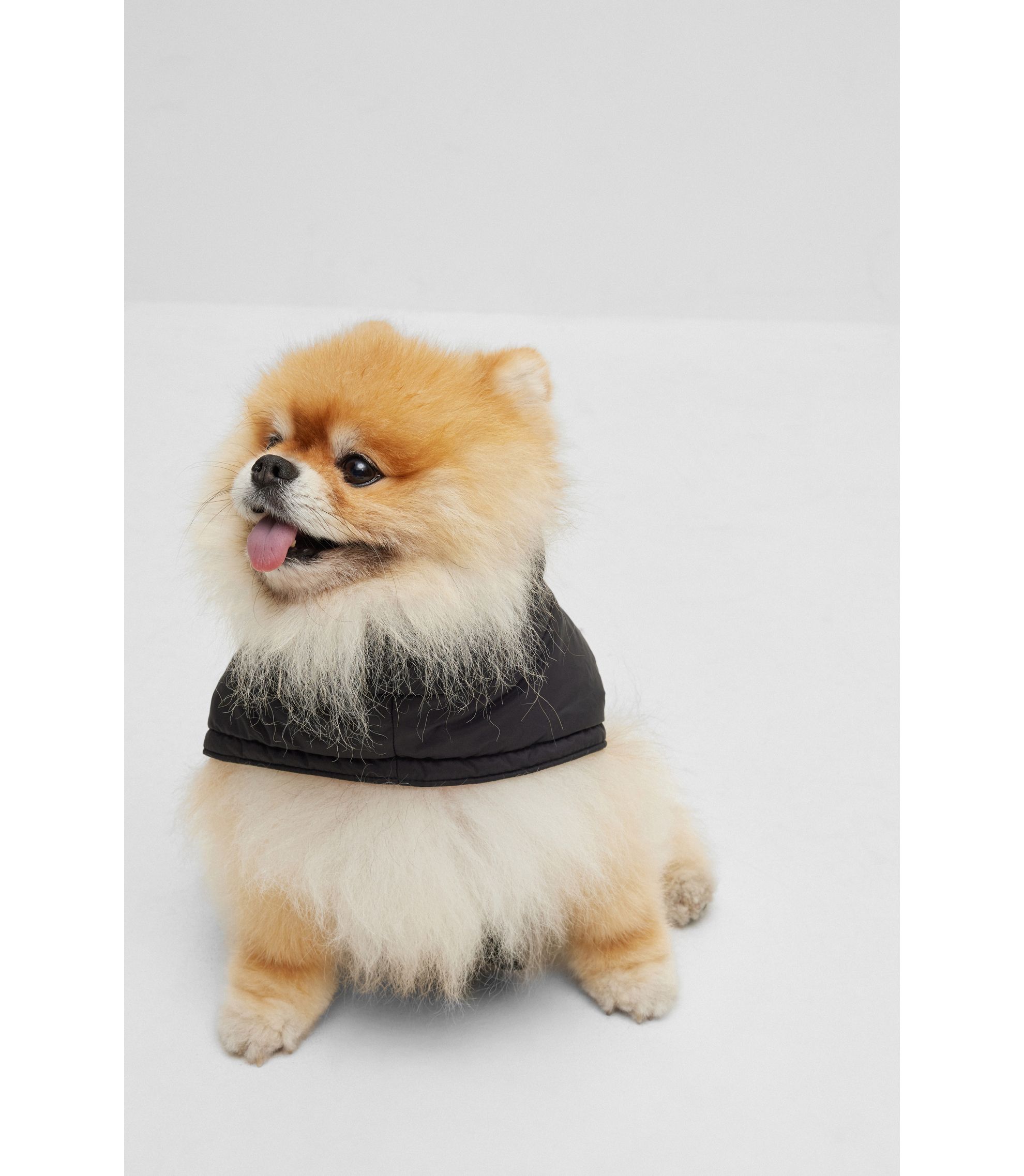 hbeuB2FDAJ003_001_300?wid=1980