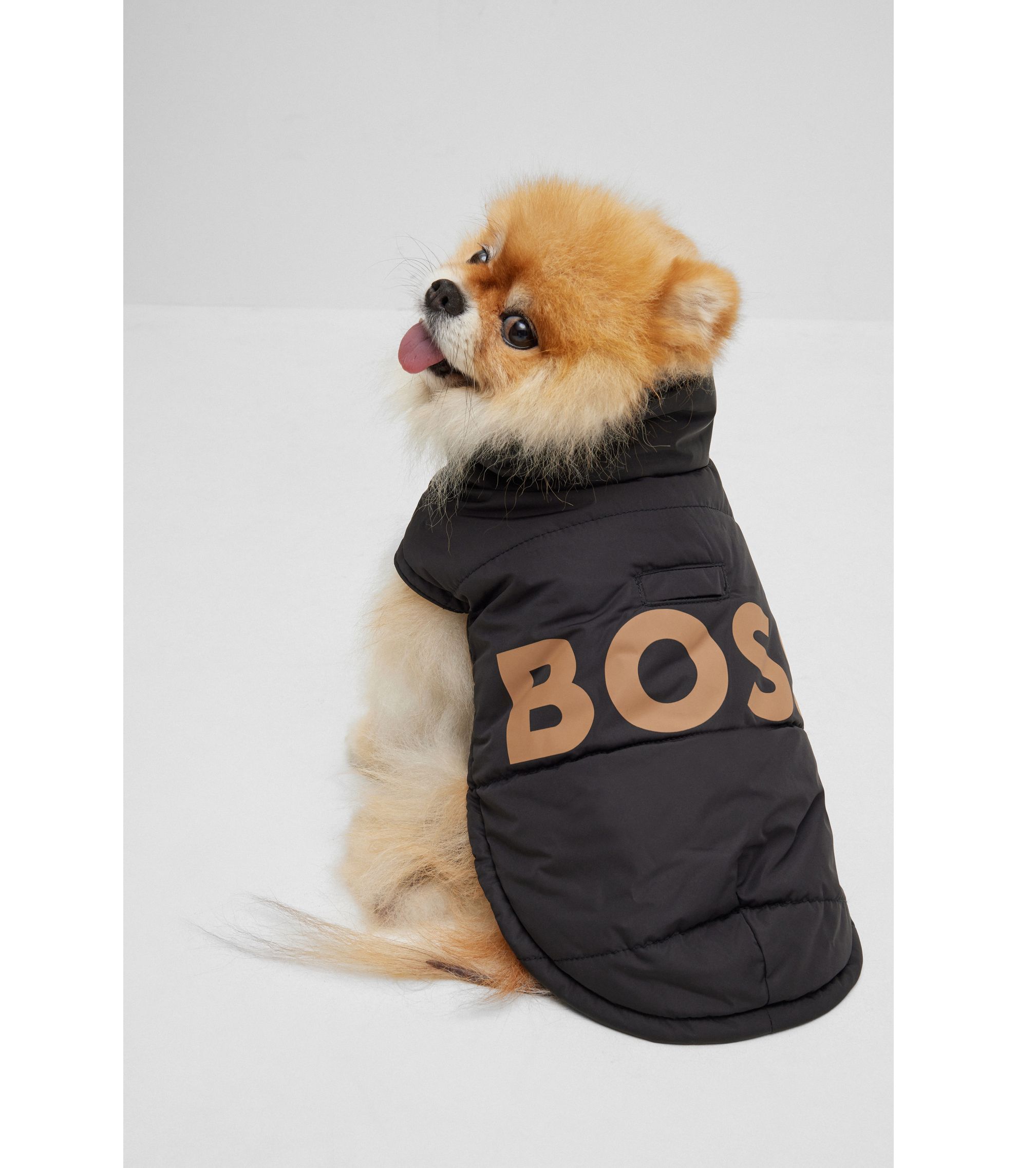 BOSS - ドッグ パデッドジャケット コントラストロゴ - ブラック