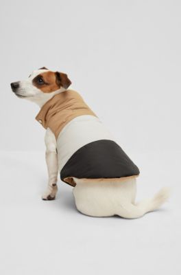 Dog reversible puffer jacket, Black