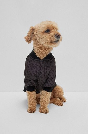 Dog bomber jacket, Black