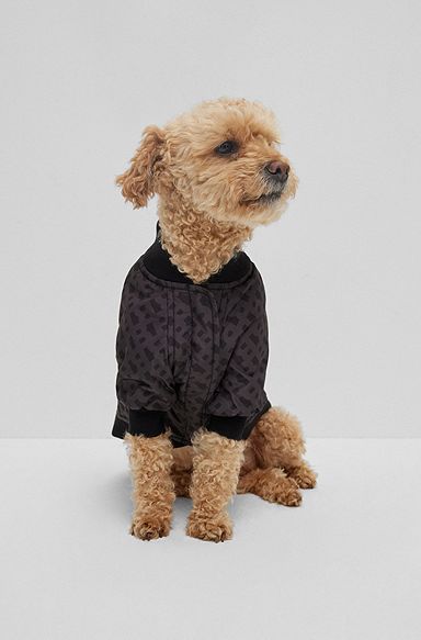 Dog bomber jacket, Black