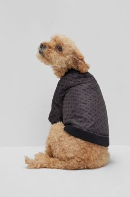 Hunde-Bomberjacke, Schwarz