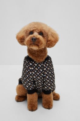 Hunde-Bomberjacke, Schwarz