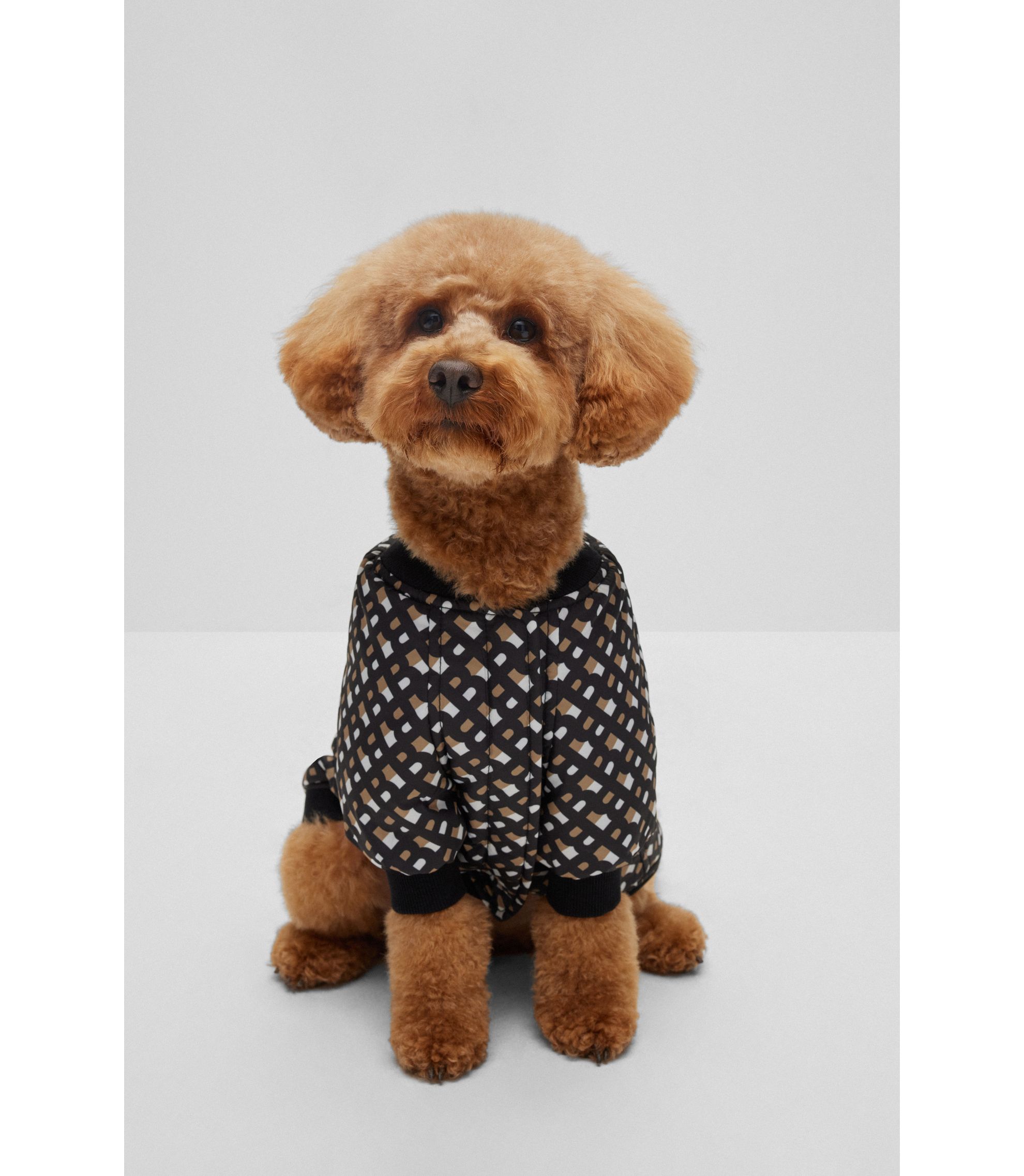 Hugo Boss Hunde-Bomberjacke