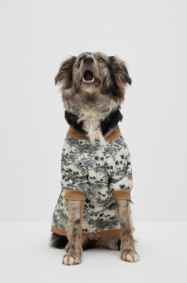 Bomber per cani con motivo , Beige chiaro