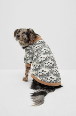 Bomber per cani con motivo , Beige chiaro