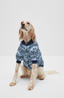 Dog bomber jacket, Light Blue
