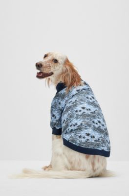 Hunde-Bomberjacke, Hellblau