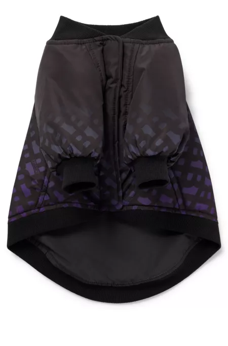 Bomber pour chien avec monogrammes dégradés