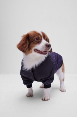 Dog bomber jacket with degrad&eacute; monograms, Black