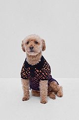 Dog polo shirt in monogrammed interlock cotton, Orange